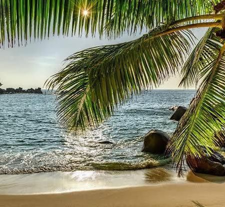 Baga Beach Palms Luaran gambar
